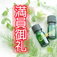 本日もありがとうございます