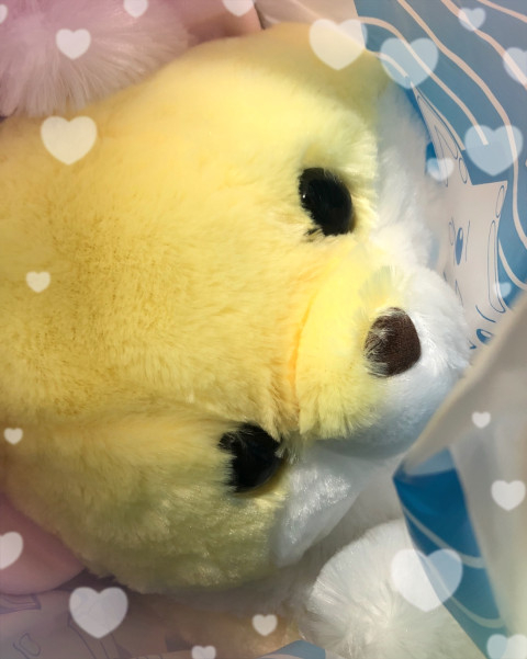 鳥海の投稿画像1
