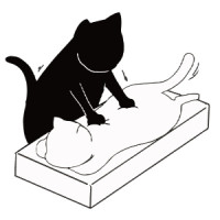 9日（火）のお礼