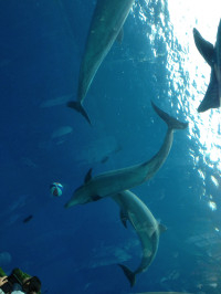 7日（日）のお礼