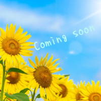 今週は出勤少なめ