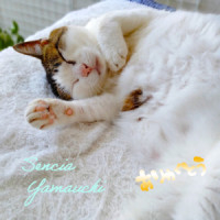 初接客ありがとうございました♪