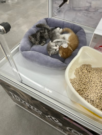 本日もありがとうございました