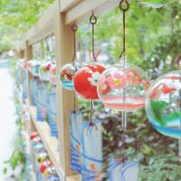 久しぶりの日記投稿