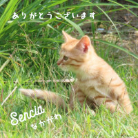 久しぶりの出勤楽しかったー！