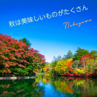 次週の出勤予定