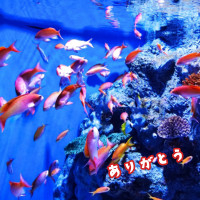 本日は仲良しさんDay♪